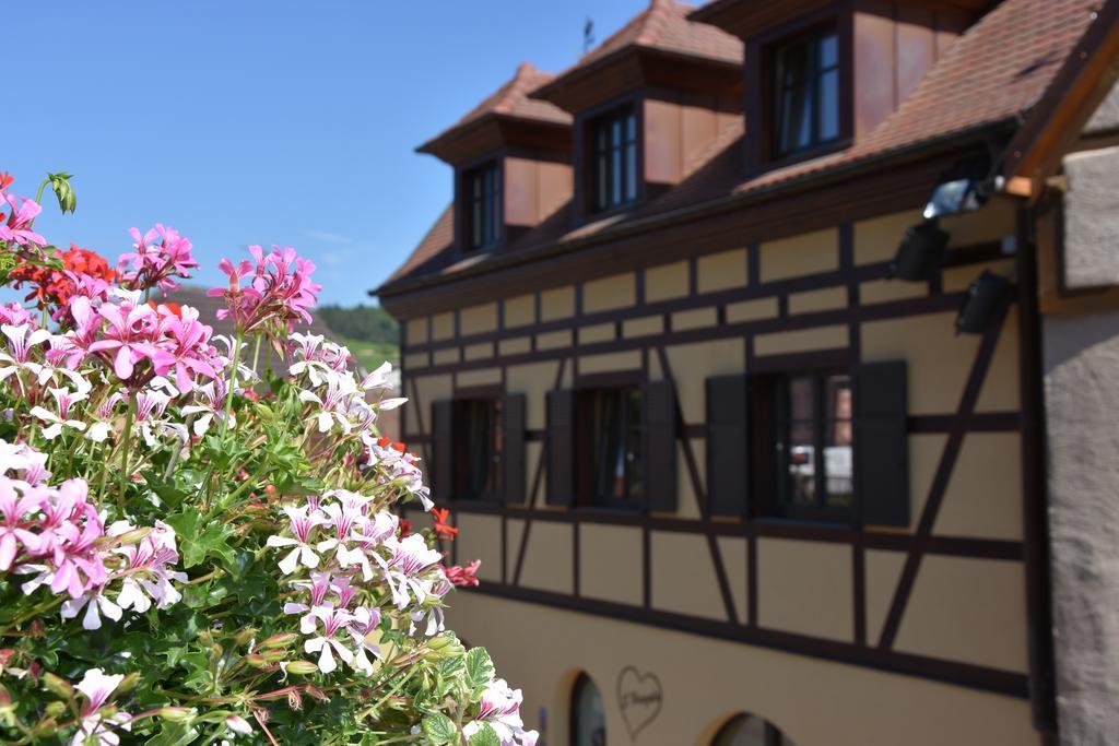 S'harzala Taupe Apartment Bergheim