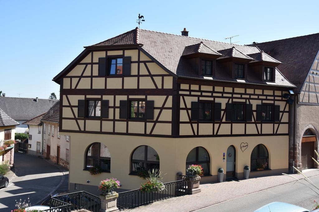 S'harzala Taupe * Bergheim