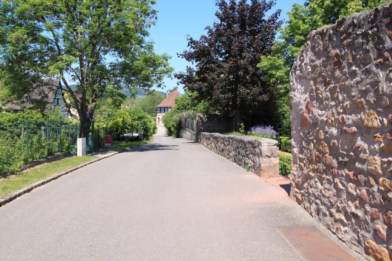 S'harzala Taupe * Bergheim